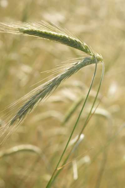 T15 2022 GEO MBO 103 T15 2022 GEO MBO 103