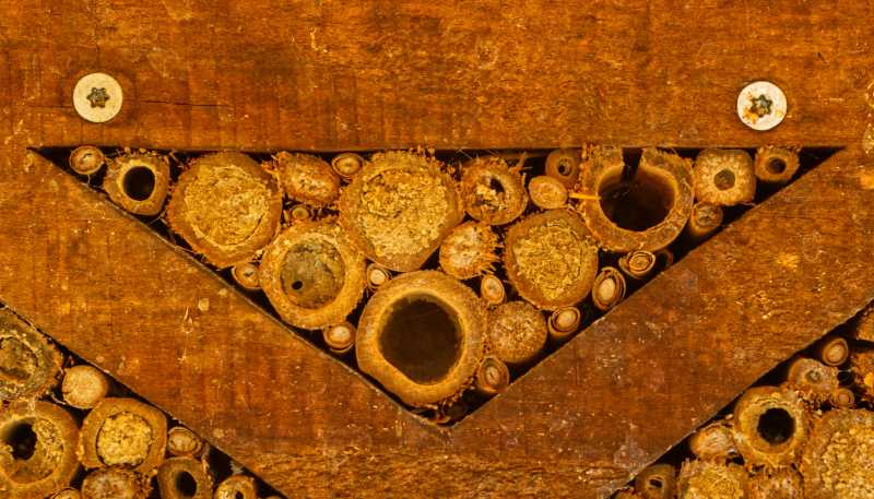 T15 2022 GEO MBO 104 T15 2022 GEO MBO 104