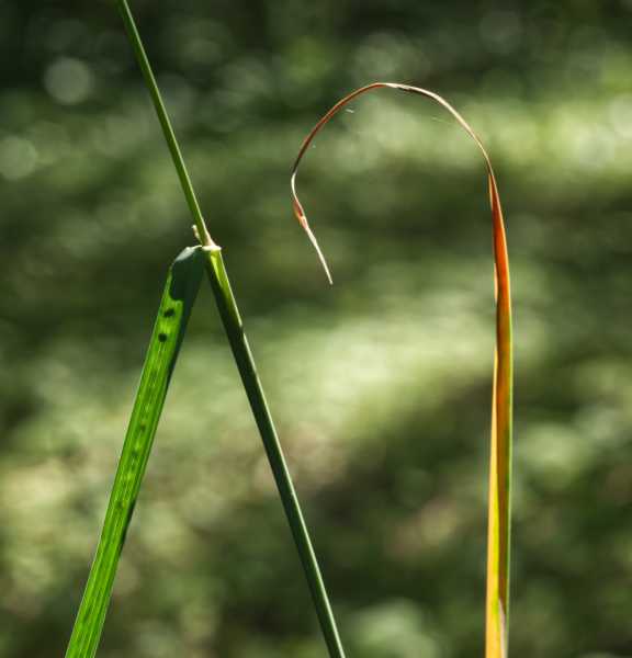 T15 2022 GEO MBO 105 T15 2022 GEO MBO 105