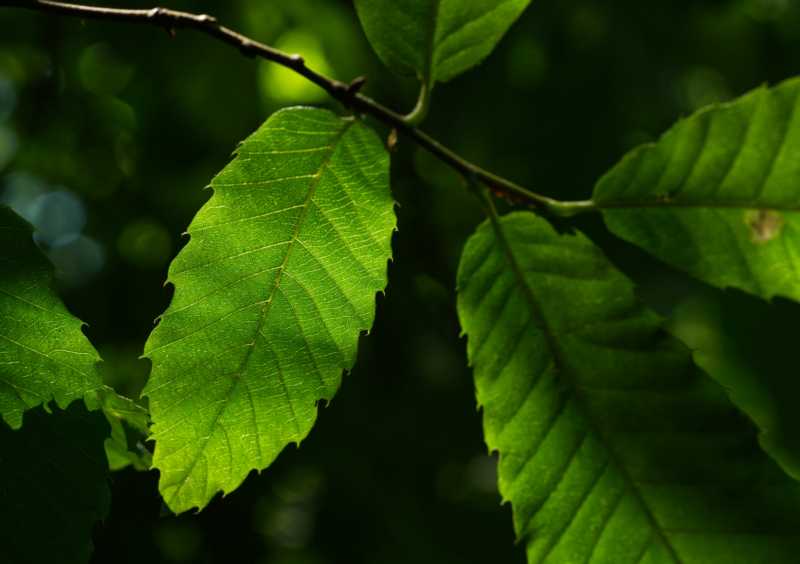 T15 2022 GEO MBO 106 T15 2022 GEO MBO 106