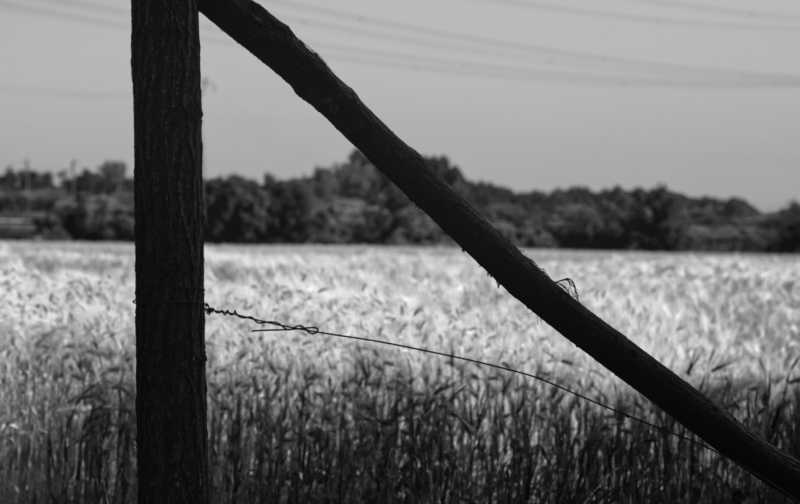 T15 2022 GEO MBO 109 T15 2022 GEO MBO 109