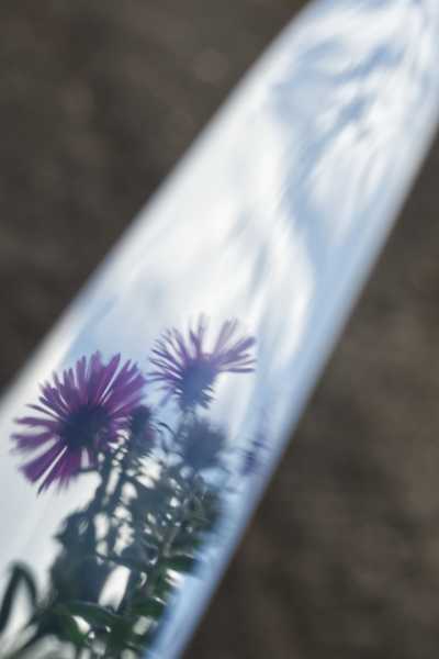 T15 2022 OBJ MBO 102 T15 2022 OBJ MBO 102