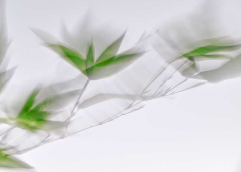 EXP FLOU 107 EXP FLOU 107