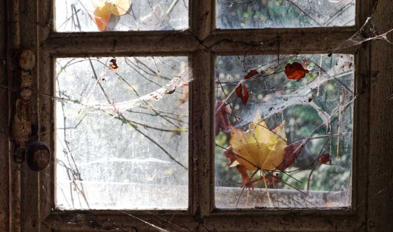 T15 2022 AUT MBO 105 T15 2022 AUT MBO 105