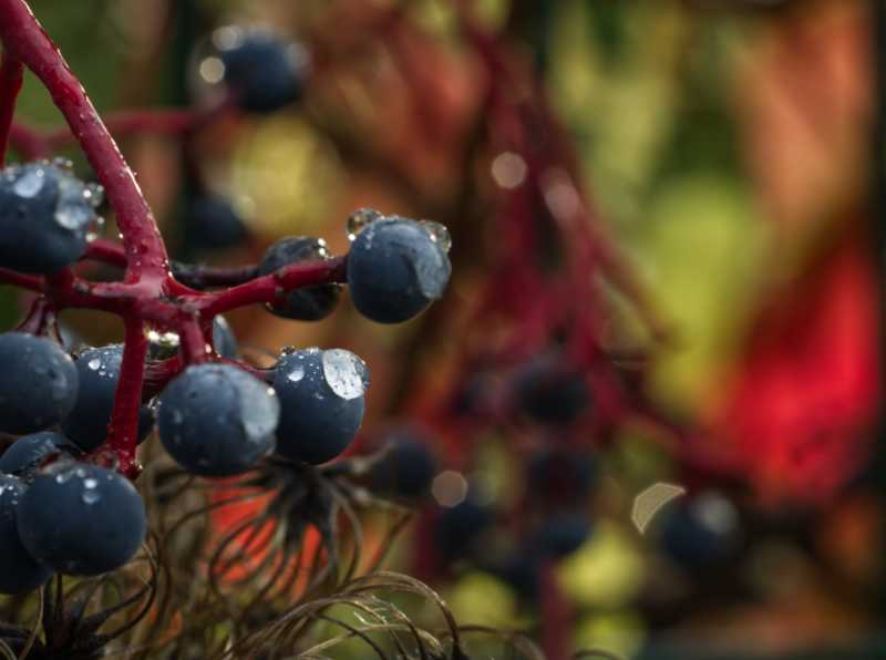 T15 2022 AUT MBO 106 T15 2022 AUT MBO 106