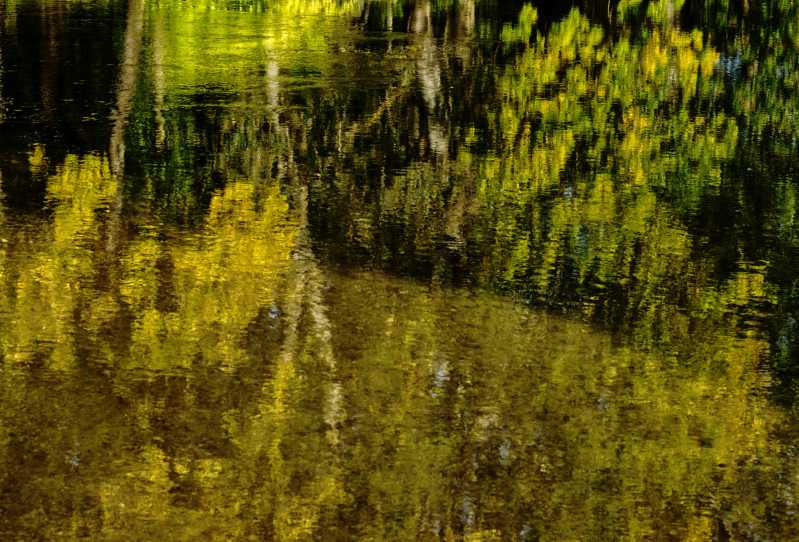 T15 2022 AUT MBO 103 T15 2022 AUT MBO 103