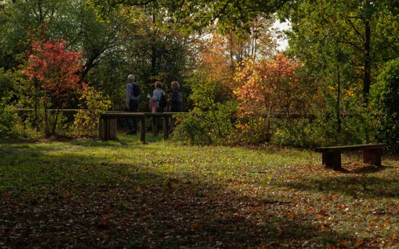 T15 2022 AUT MBO 104