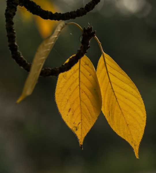 T15 2022 AUT MBO 107 T15 2022 AUT MBO 107