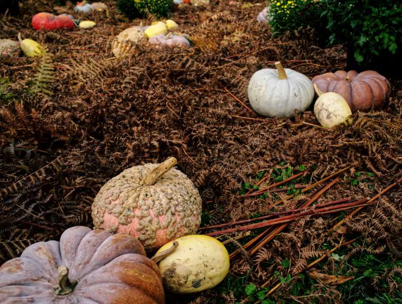 T15 2022 AUT MBO 101 T15 2022 AUT MBO 101