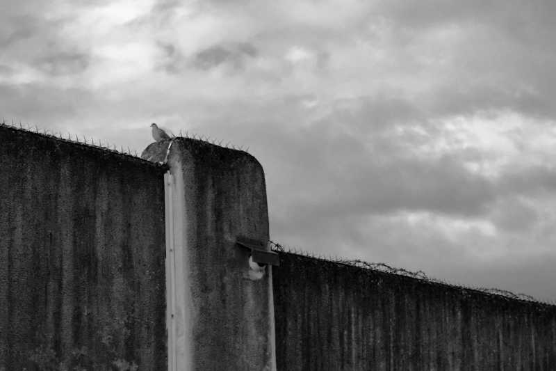 EXP LIB MBO 101 EXP LIB MBO 101