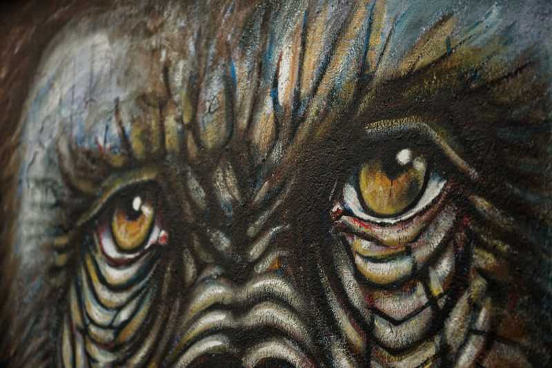 T30 2023 GDO MBO 100 T30 2023 GDO MBO 100