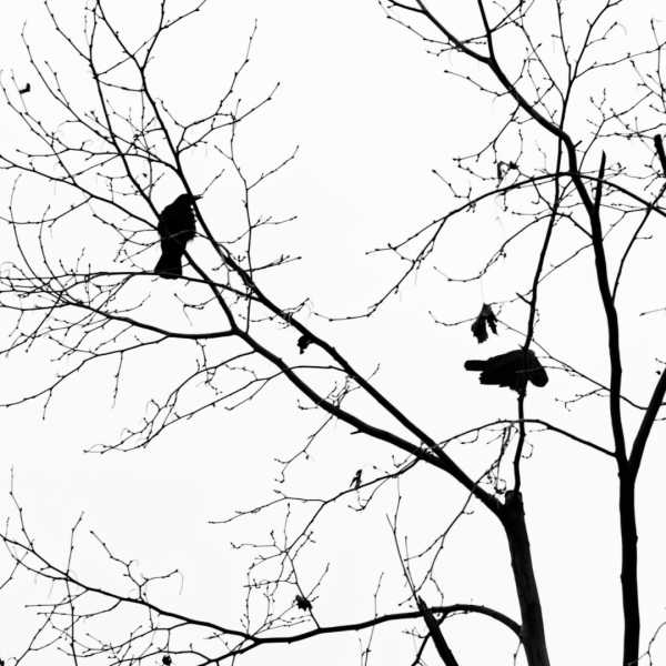 EXP 2023 ATH MBO 110