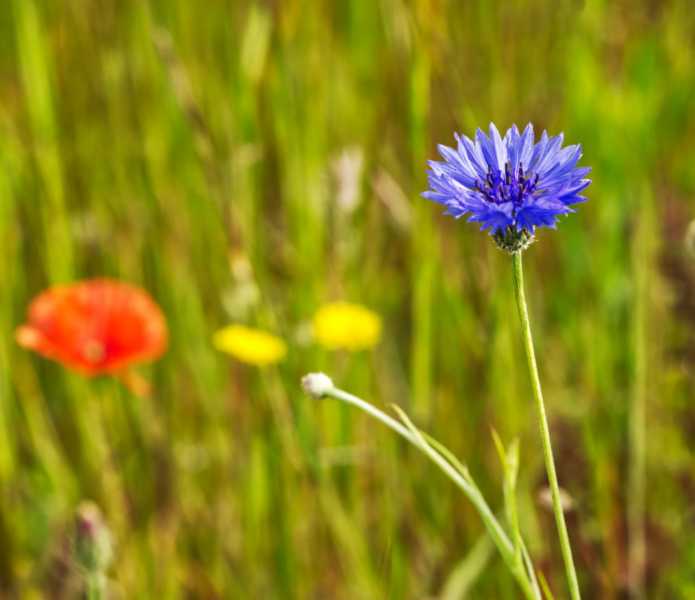 T30 2023 FLS MBO 101