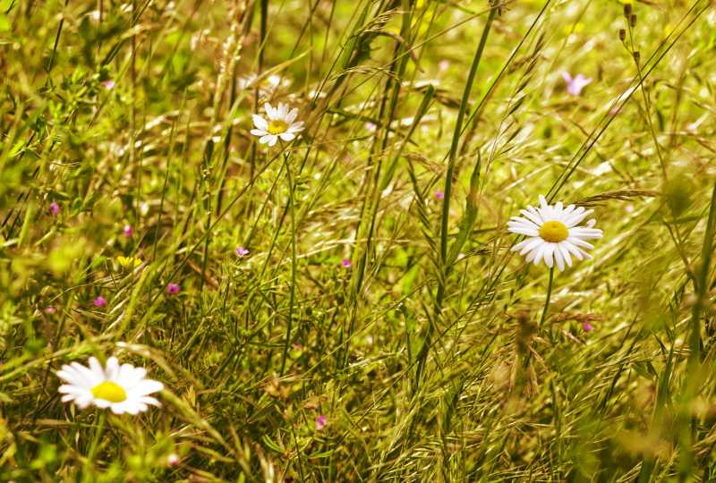 T30 2023 FLS MBO 102