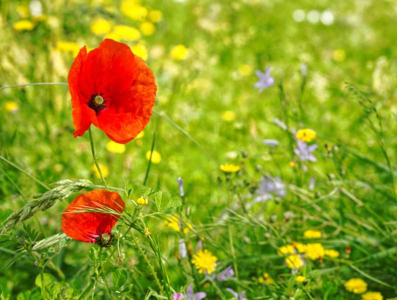 T30 2023 FLS MBO 103