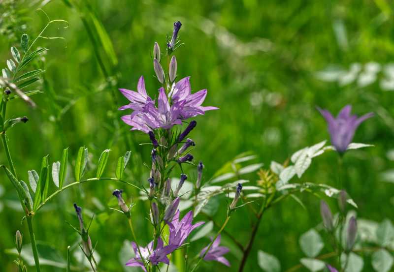 T30 2023 FLS MBO 104