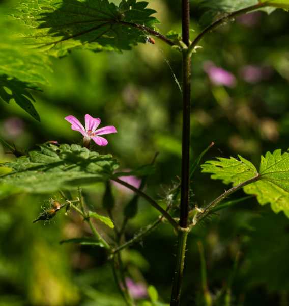 T30 2023 FLS MBO 105