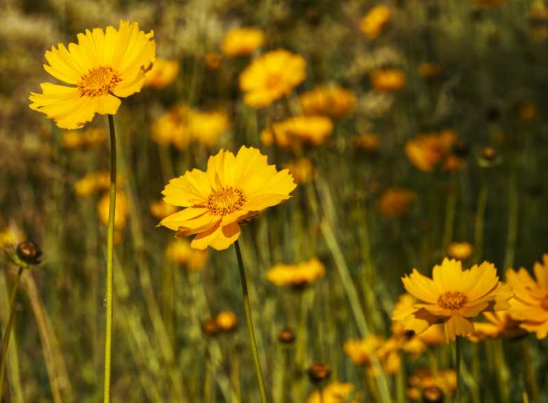 T30 2023 FLS MBO 107