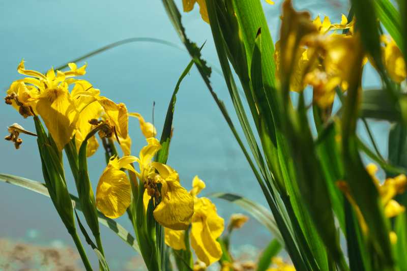 T30 2023 FLS MBO 108