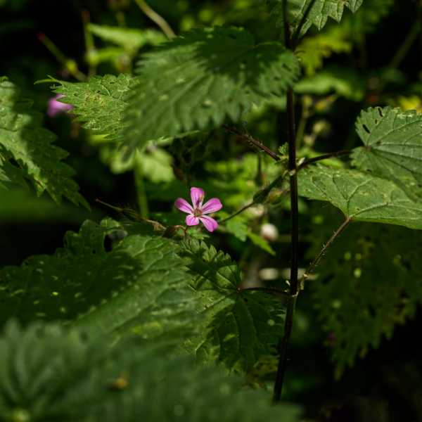 T30 2023 FLS MBO 106