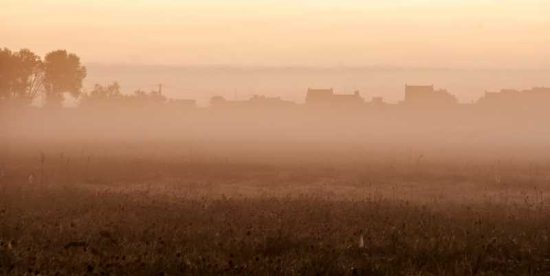 T60 2023 ROS MBO 100 T60 2023 ROS MBO 100