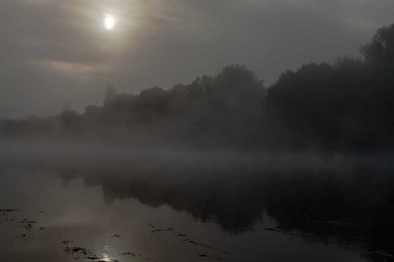 T60 2023 ROS MBO 102 T60 2023 ROS MBO 102