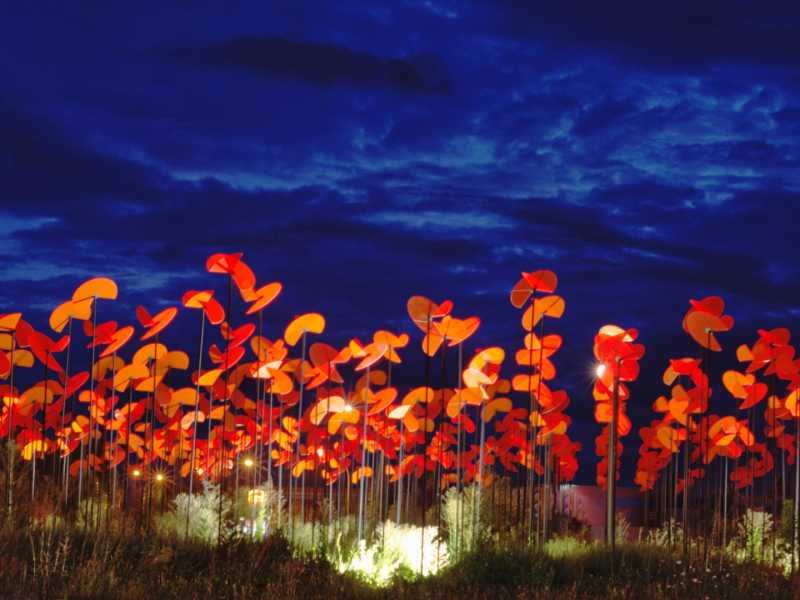 T60 2023 NUI MBO 101