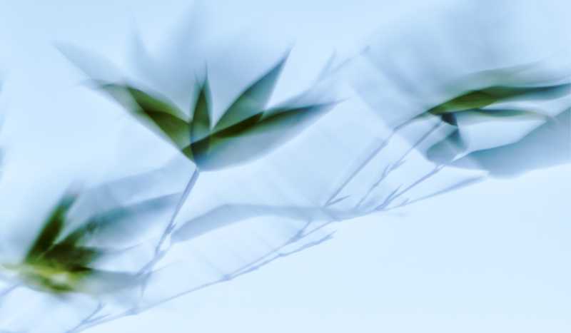 T60 2024 FLO MBO 101