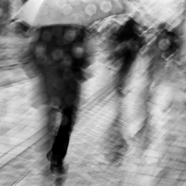 T60 2024 FLO MBO 102