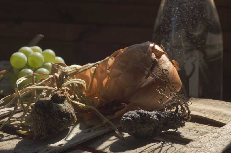 EXP 2021 PME MBO 102 EXP 2021 PME MBO 102