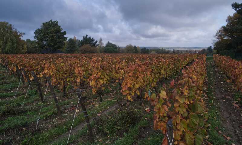 MBO PAY 102 MBO PAY 102