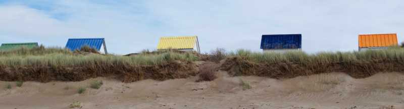 T15 2022 TOI ODU 101 T15 2022 TOI ODU 101