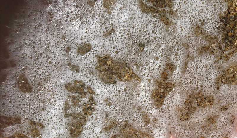 CHA 2022 M ODU 101 CHA 2022 M ODU 101