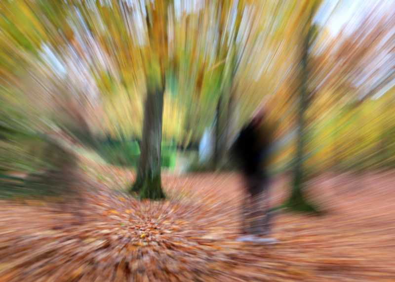 T15 2022 AUT ODU 100 T15 2022 AUT ODU 100