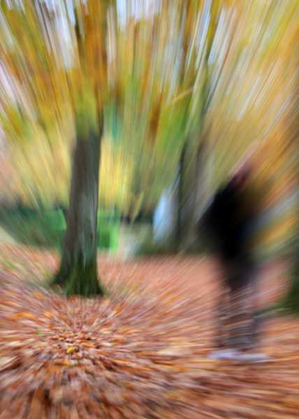 T15 2022 AUT ODU 101 T15 2022 AUT ODU 101