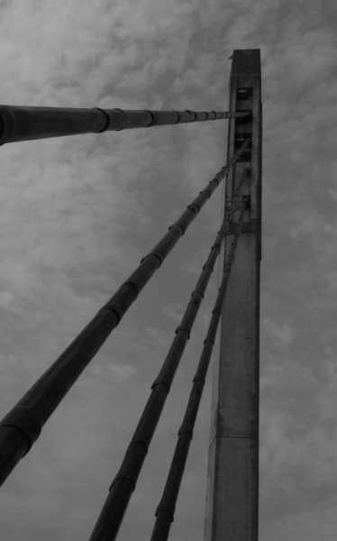 EXP 2023 CHA ODU 102