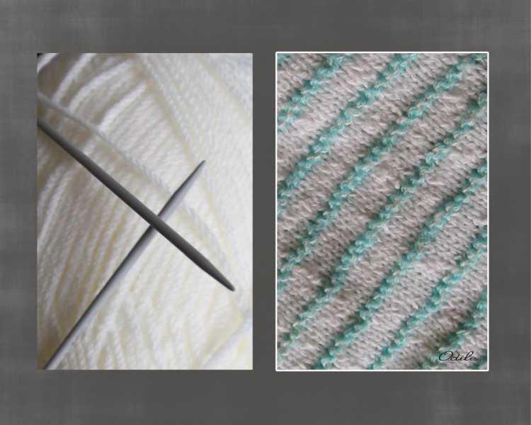 EXP 2023 DIP ODU 103 