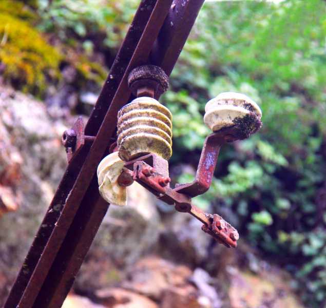 EXP MON 2024 ODU 101web