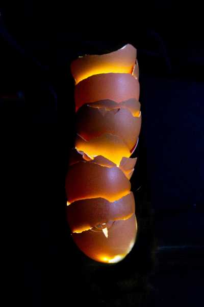 EXP MON 2024 ODU 105A web