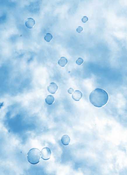 EXP 2024 CHA ODU 103 web