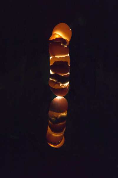 EXP MON 2024 ODU 105Bweb