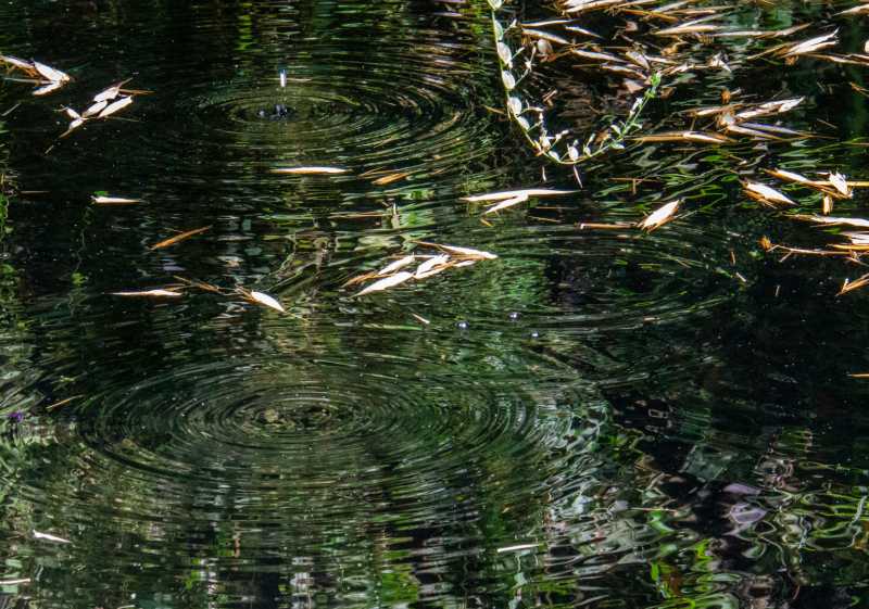 IMG 0193 2 IMG 0193 2