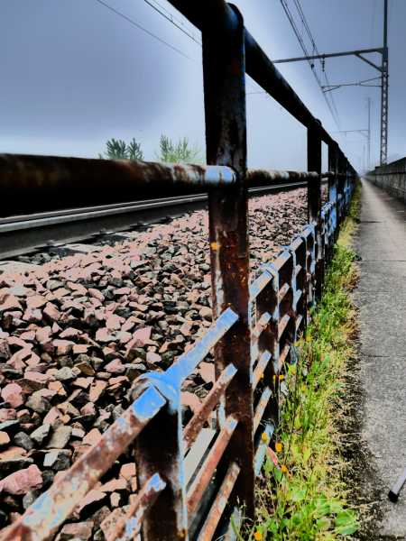 EXP MON 2025 ODU 105 (P1080561)