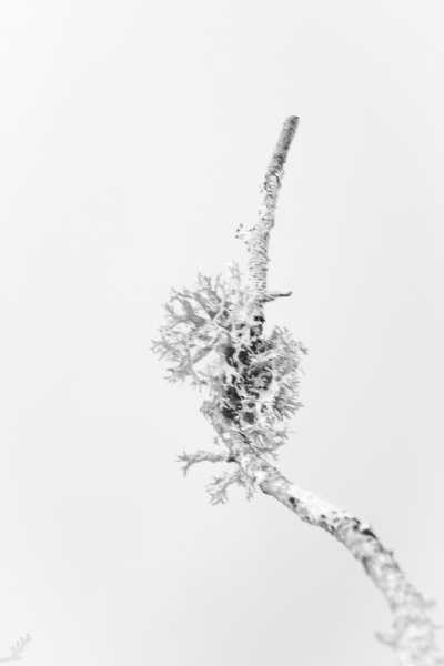 2026 CHA ODU 103 IMG 0034 (2) 2 2026 CHA ODU 103 IMG 0034 (2) 2