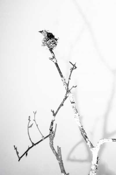 2026 CHA ODU 102 IMG 0053 Copie web 2026 CHA ODU 102 IMG 0053 Copie web