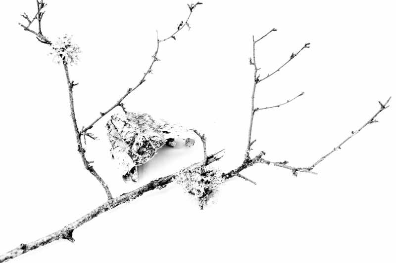 2026 CHA ODU 100B IMG 0032 (2) 3 web 2026 CHA ODU 100B IMG 0032 (2) 3 web