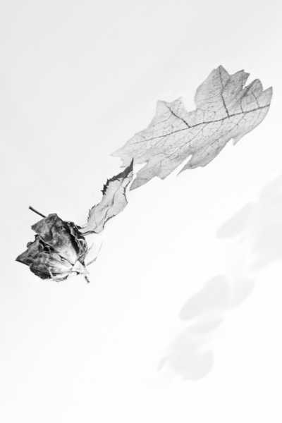 2026 CHA ODU 101 IMG 0038 Copie web 2026 CHA ODU 101 IMG 0038 Copie web