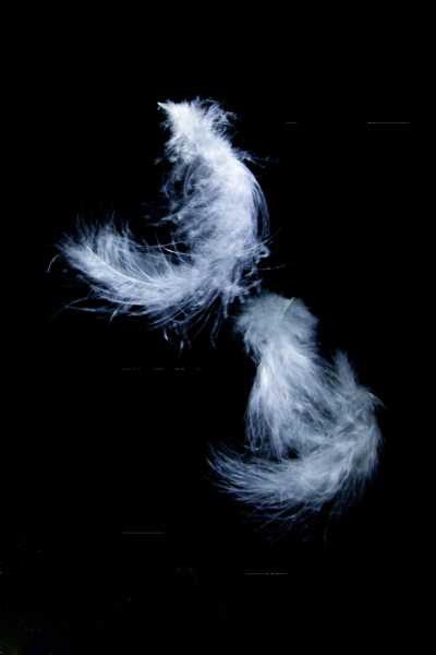 2025 CHA ODU 104 IMG 0052 (2) 2web 2025 CHA ODU 104 IMG 0052 (2) 2web