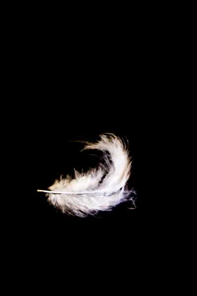 EXP 2026 114b  (IMG 0050 (2) 2 2) web