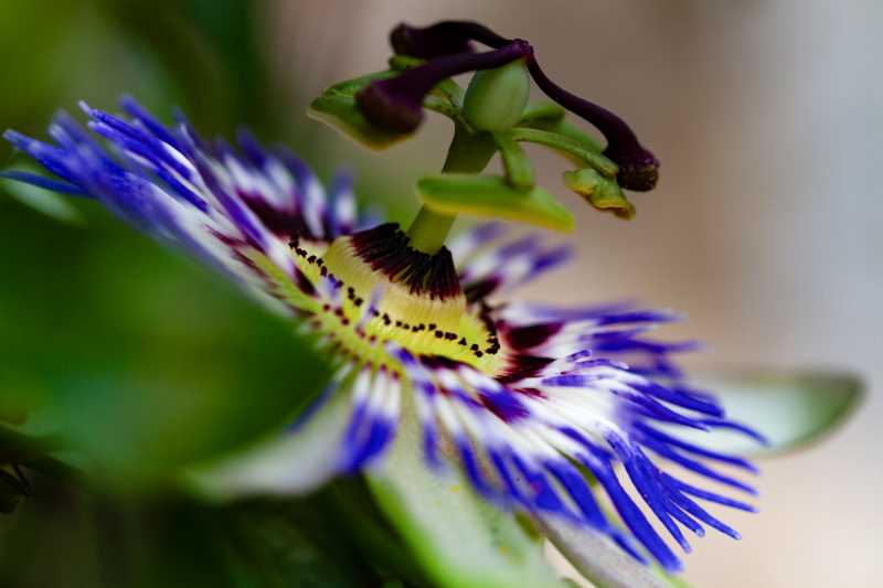 IMG 8758 2 2 IMG 8758 2 2